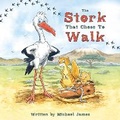 Cover: The Stork That Chose to Walk - Troubador Publishing