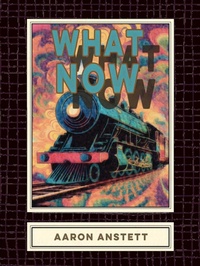 Enlarge image Cover: What Now - Sagging Meniscus Press
