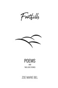 Cover: Foothills - Scatterpunk Press