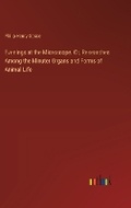 Cover: Evenings at the Microscope. Or, Researches Among the Minuter Organs and Forms of Animal Life - Outlook Verlag