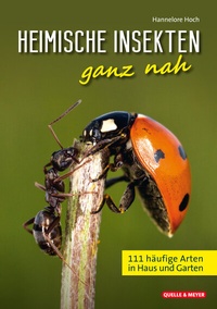 Abbildung von: Heimische Insekten ganz nah - Quelle & Meyer