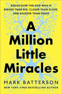Enlarge image Cover: A Million Little Miracles - Multnomah Press