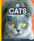Cover: Cats - Child's World, Inc. Wonder Books