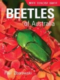 Cover: Reed Concise Guide: Beetles of Australia - Reed New Holland