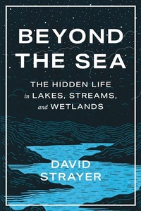 Abbildung von: Beyond the Sea - Johns Hopkins University Press