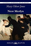 Cover: Nest Merfyn (eLyfr) - Melin Bapur