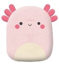 Cover: Squish and Snugg Groovy Axolotl - Make Believe Ideas