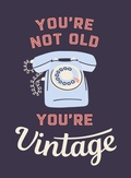 Cover: You're Not Old, You're Vintage - Summersdale
