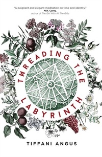 Enlarge image Cover: Threading the Labyrinth - Luna Press Publishing