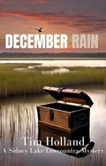 Cover: December Rain - Blue Fortune Enterprises LLC