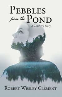 Abbildung von: Pebbles From The Pond - 2020 LITERARY GROUP LLC