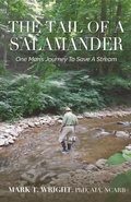 Cover: The Tail Of A Salamander - Wordeee