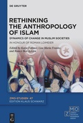 Cover: Rethinking the Anthropology of Islam - De Gruyter