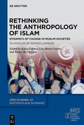 Bild: Rethinking the Anthropology of Islam - De Gruyter