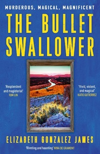Abbildung von: The Bullet Swallower - Hodder Paperback