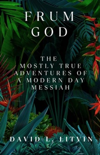 Enlarge image Cover: Frum God - David L. Litvin