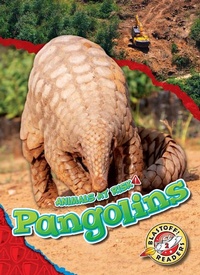 Enlarge image Cover: Pangolins - Blastoff! Readers