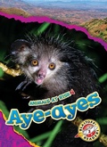 Cover: Aye-Ayes - Blastoff! Readers