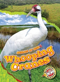Enlarge image Cover: Whooping Cranes - Blastoff! Readers