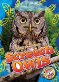 Cover: Screech Owls - Blastoff! Readers
