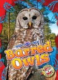 Cover: Barred Owls - Blastoff! Readers
