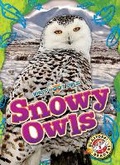 Cover: Snowy Owls - Blastoff! Readers