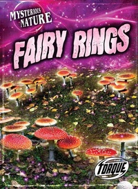 Abbildung von: Fairy Rings - Torque