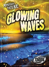 Abbildung von: Glowing Waves - Torque