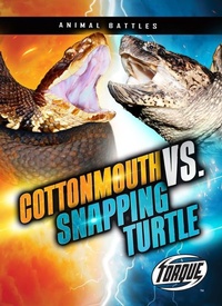 Enlarge image Cover: Cottonmouth vs. Snapping Turtle - Torque
