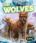 Cover: Dire Wolves - EPIC