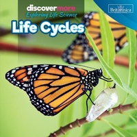 Enlarge image Cover: Life Cycles - Rosen Education Service