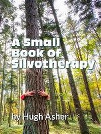 Enlarge image Cover: A Small Book of Silvotherapy - Silvotherapy Publishing