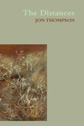 Cover: The Distances - Shearsman Books