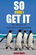 Cover: So Now I Get It - PN Books