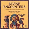 Cover: Divine Encounters - Tantor Audio