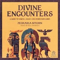 Enlarge image Cover: Divine Encounters - Tantor Audio