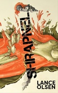 Cover: Shrapnel: Contemplations - Lulu.com