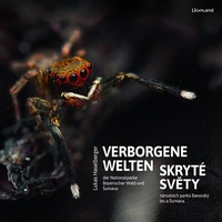 Abbildung von: Verborgene Welten - Edition Lichtland