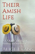 Cover: Their Amish Life - Trellis Publishing