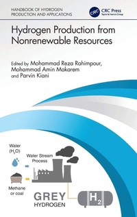 Enlarge image Cover: Hydrogen Production from Nonrenewable Resources - CRC Press