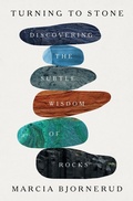 Cover: Turning to Stone - Flatiron Books