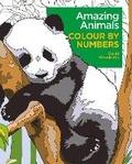 Cover: Amazing Animals Colour by Numbers - Arcturus