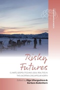 Cover: Risky Futures - Berghahn Books