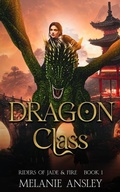 Cover: Dragon Class - Writing Rooster Media