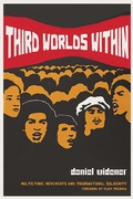 Cover: Third Worlds Within - De Gruyter