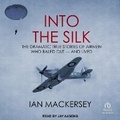 Cover: Into the Silk - Tantor Audio