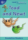 Cover: Phonic Books Dandelion Readers Vowel Spellings Level 4 - Phonic Books Ltd