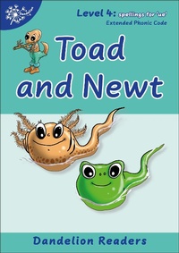 Abbildung von: Phonic Books Dandelion Readers Vowel Spellings Level 4 - Phonic Books Ltd