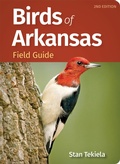 Cover: Birds of Arkansas Field Guide - Adventure Publications