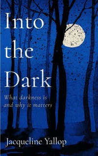 Enlarge image Cover: Into the Dark - Icon Books